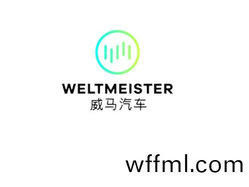 威馬(ma)汽(qi)車